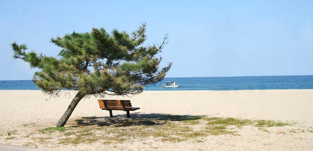 Pine Beach Yangyang Εξωτερικό φωτογραφία